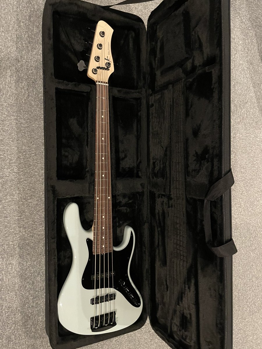 ニューベースをゲットしました🎸 色も可愛い〜！！ これから色々使って