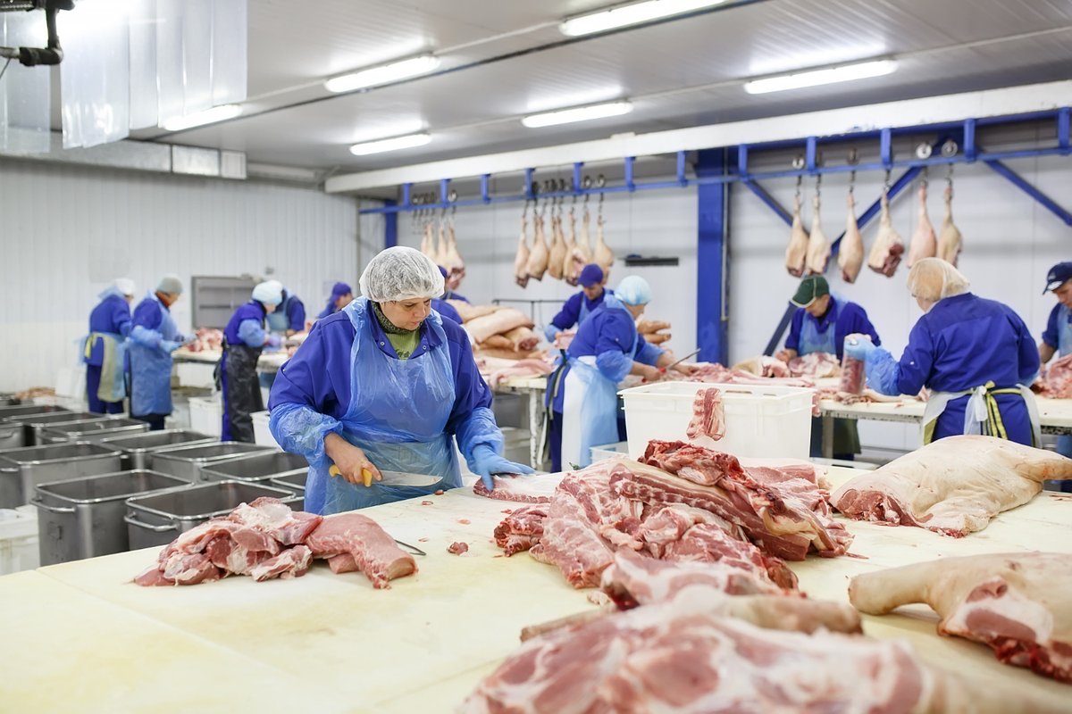 Foodmc's tweet photo. Cross-contamination is one of the biggest food safety risks in production environments ⚠️
Learn how it happens — and how to prevent it.
Read our full guide on preventing cross-contamination in food production:
👉 https://t.co/LqziOkQ9dE https://t.co/NKa0rS6ZWL