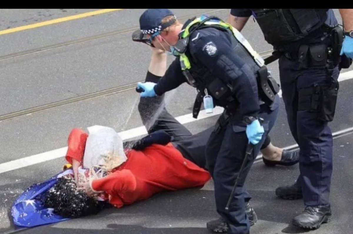 Ancus Kelly tweet media