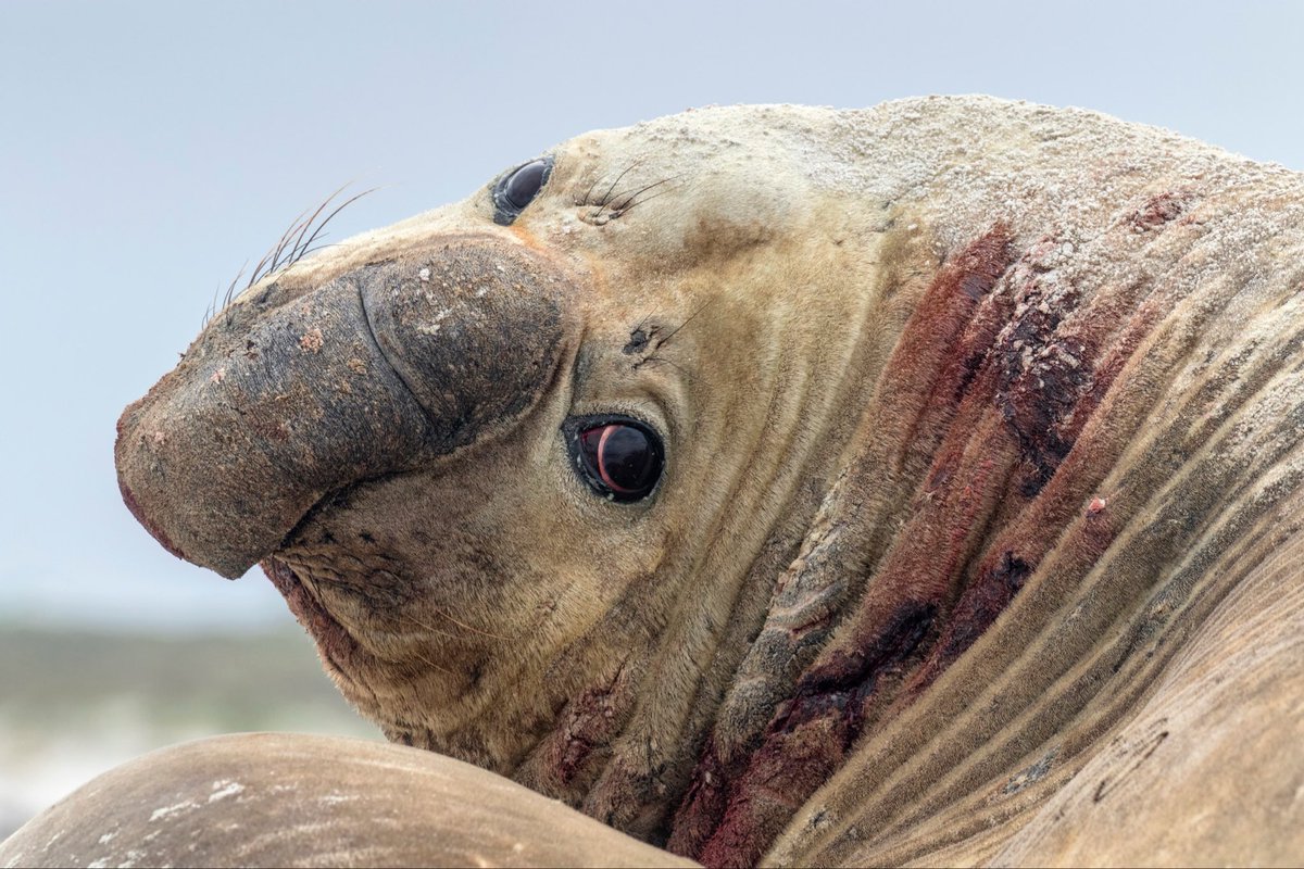 オールマイティ・ラボ tweet media