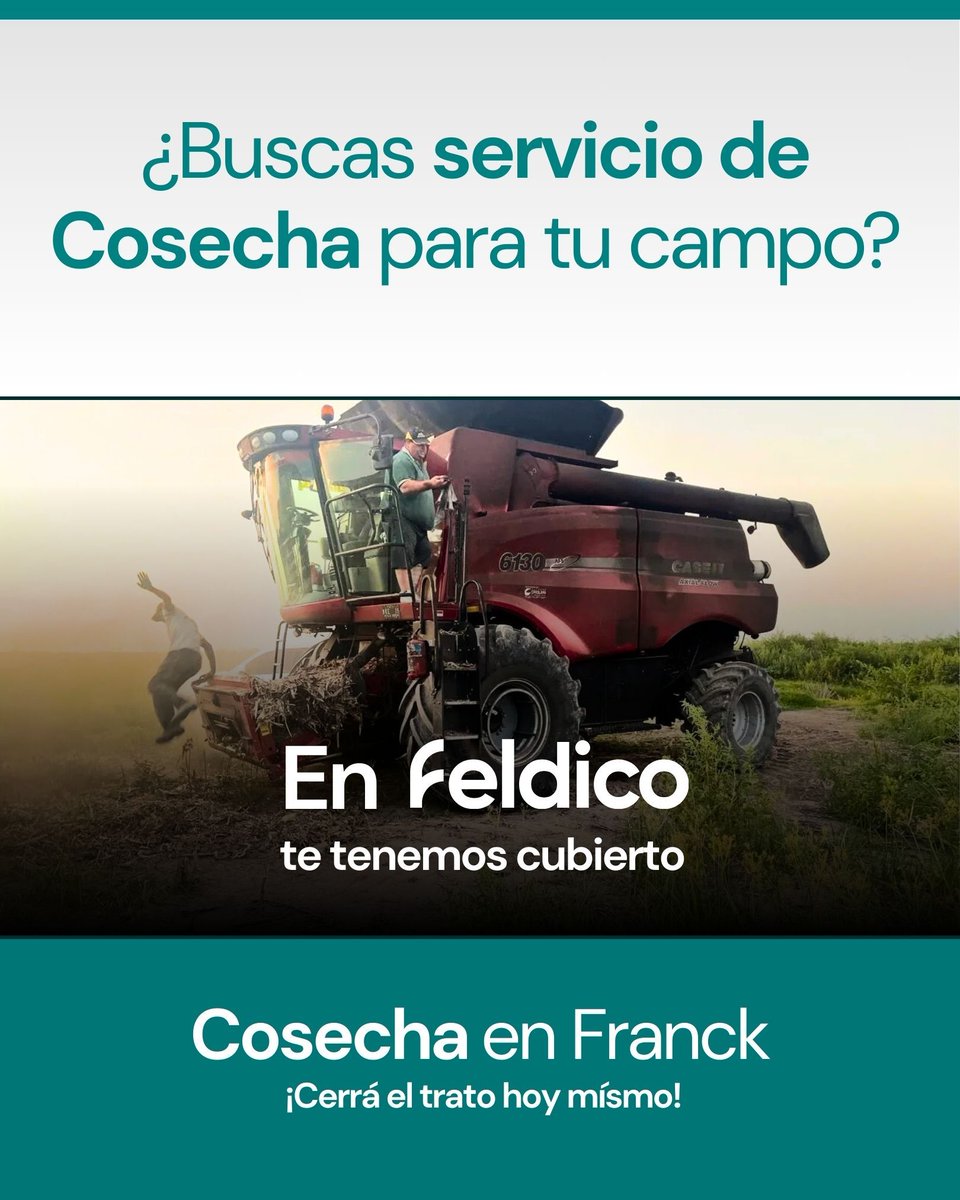 feldico's tweet image. 🌾 ¿Buscás Cosecha?
En Feldico te tenemos cubierto.

🚜 Case Axial-Flow 6130 (2018)
📍 Franck, Santa Fe

💪 Características destacadas:
• Piloto Automático
• Mapeo de Rendimiento
• Ancho de Cosecha: 10m

Cerrá el trato hoy 👇
🔗 feldico.com/cosecha/franck…