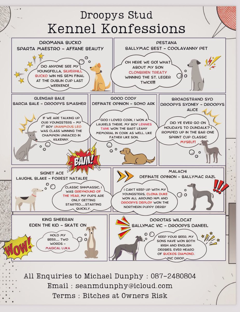 Aoife Dunphy tweet media