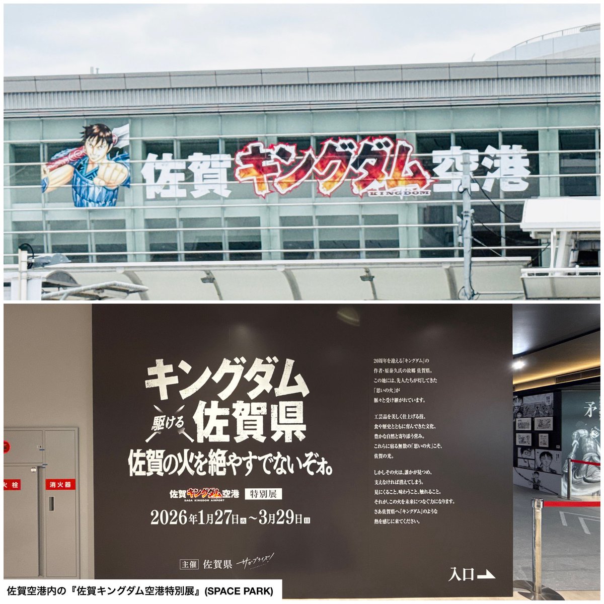 wing952's tweet image. おパン・小パンダ、『佐賀キングダム空港特別展〜佐賀の火を絶やすでないぞォ。〜』を観にゆく^ ^

期間限定(1月27日〜3月29日)で佐賀空港✈️や干潟よか公園防波堤等でキングダム展が開催されています☆

私は映画や電子で愛読していますが内容も良かったです✨
#お買いものパンダ
#佐賀キングダム空港