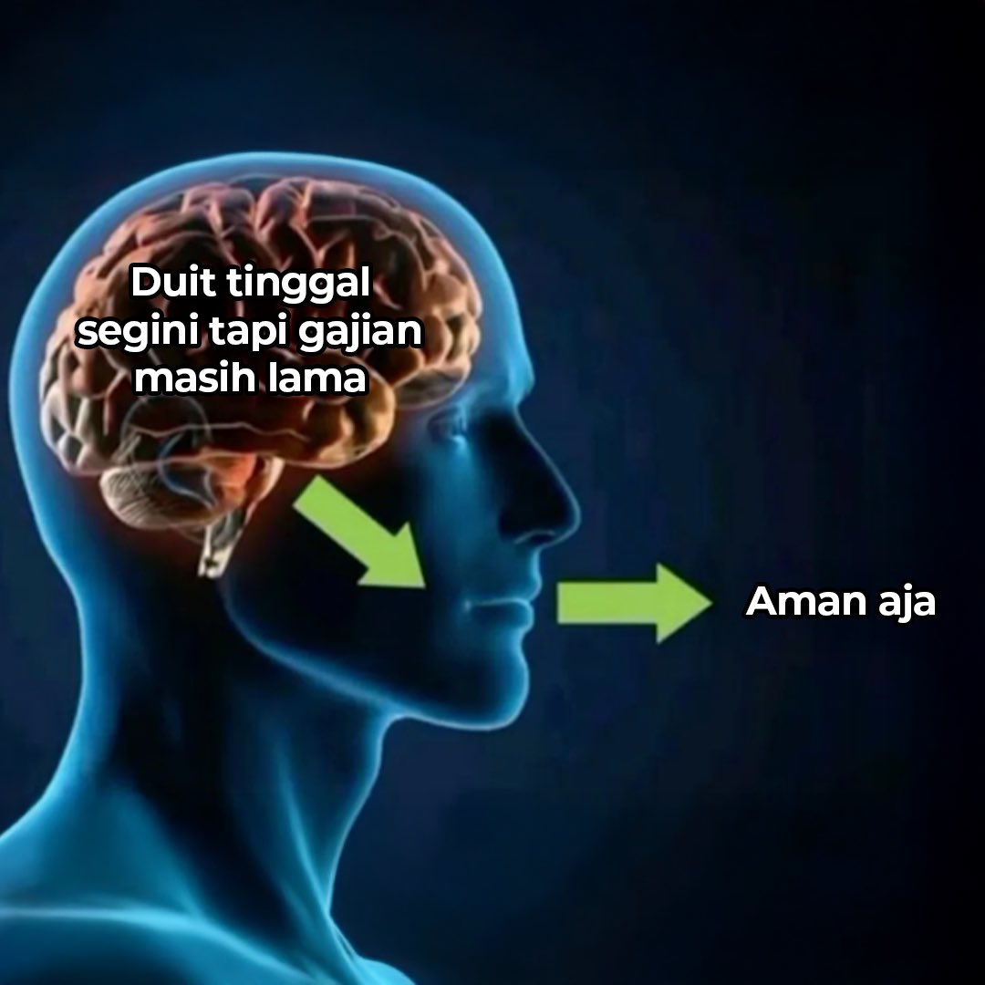 Bluebird Group tweet media