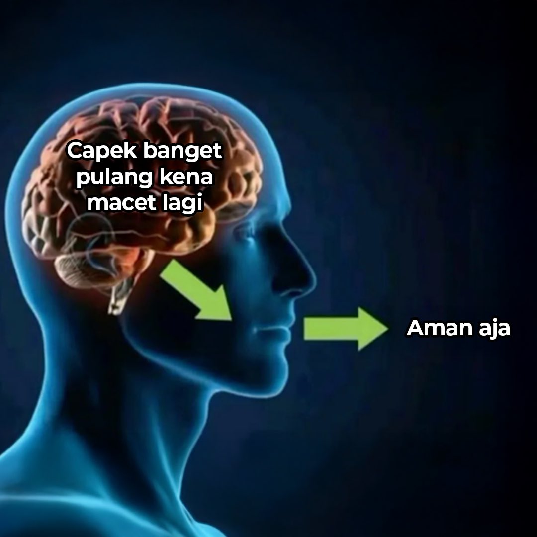 Bluebird Group tweet media