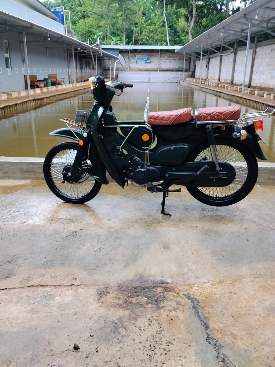 esihcs8's tweet photo. Supercub 
#ชลบุรีเขต1 #นับใหม่ทั้งประเทศ #ひなたフェス2026 #motorolaSignature #motorsportJP https://t.co/jO2uDNjrd3