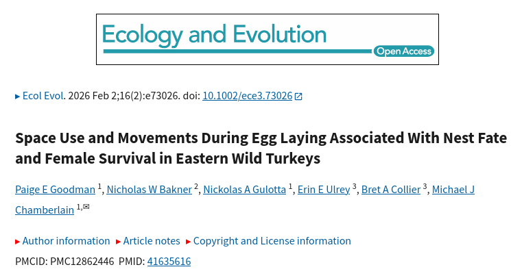 Firetail tweet media