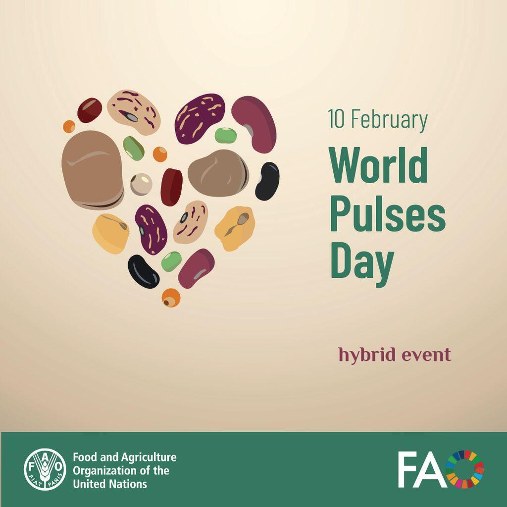 Join <a href="/FAO/">Food and Agriculture Organization</a> &amp; Spain to celebrate #WorldPulsesDay! 

Discover how these remarkable crops can be brought back to the forefront of healthy diets and sustainable agrifood systems, where they rightly belong.  

11.30 Scientific &amp; culinary forum
14.00 Ceremony

➡️bit.ly/4a7kGR1