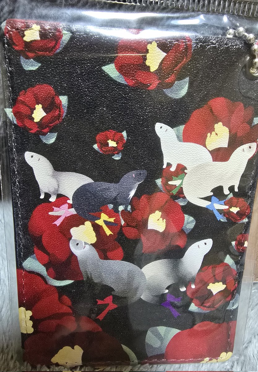 滝川🌏️いたちのおうちの中の人 tweet media