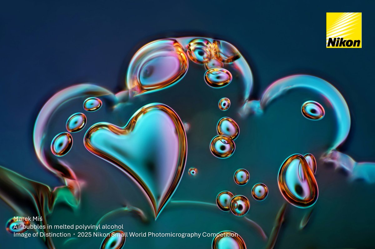 ニコンソリューションズ/バイオサイエンス tweet media