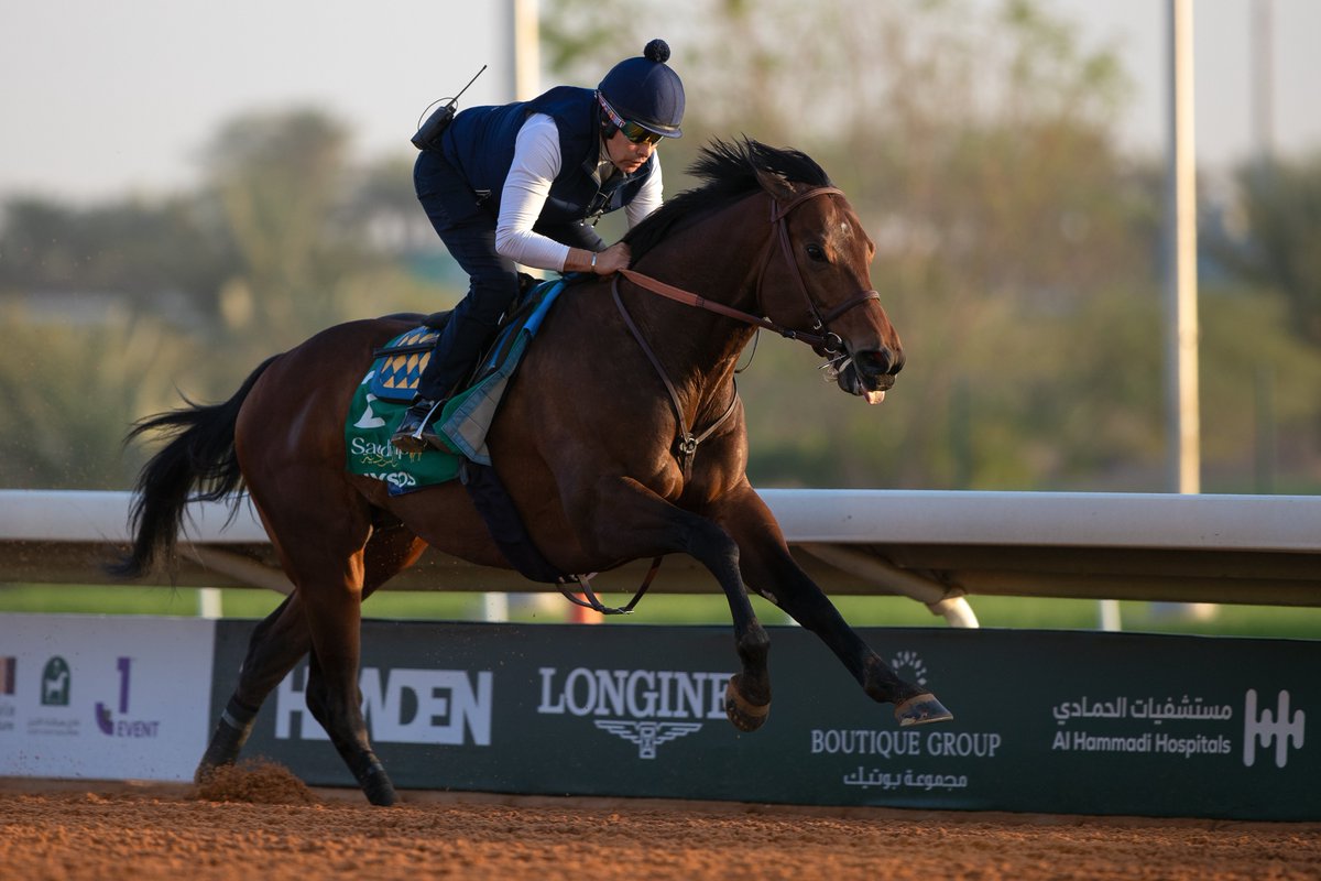 NYSOS takes flight! ✈️ <a href="/BobBaffert/">Bob Baffert</a> 

#TheSaudiCup #サウジカップ