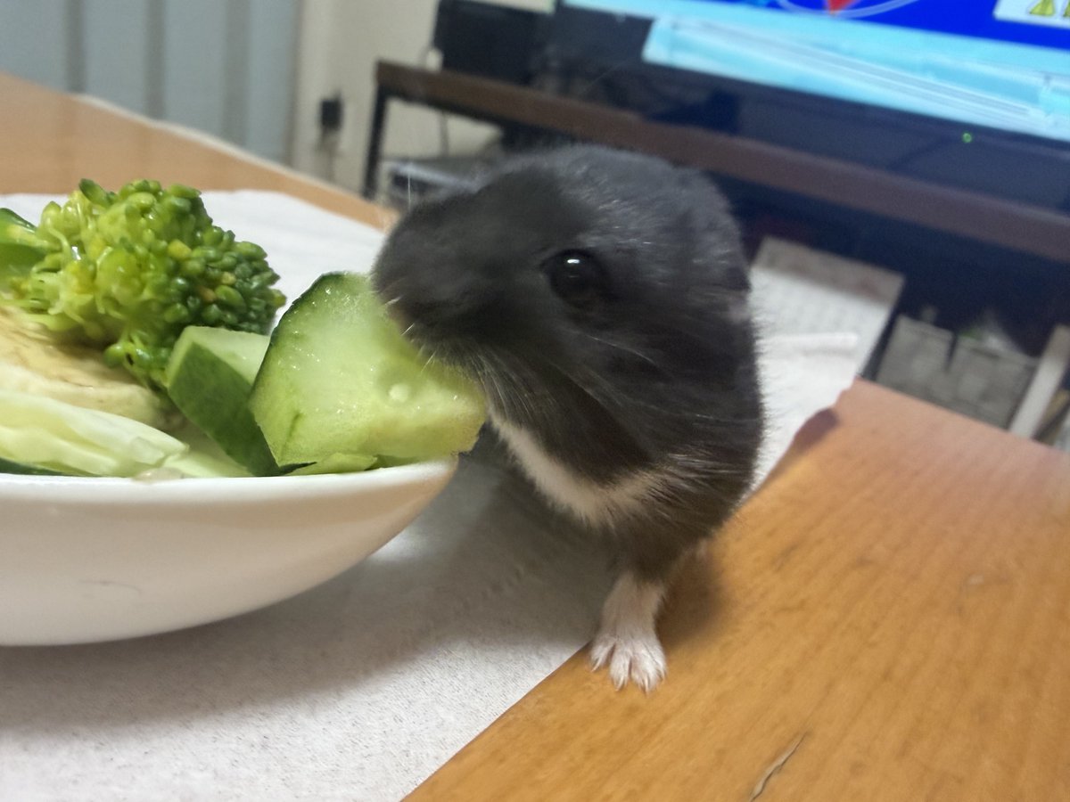 oh1rune_zzz's tweet image. たべず