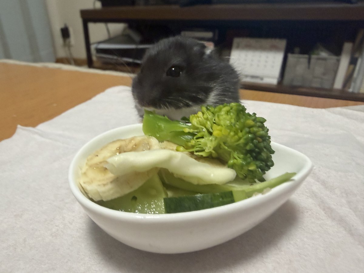 oh1rune_zzz's tweet image. たべず