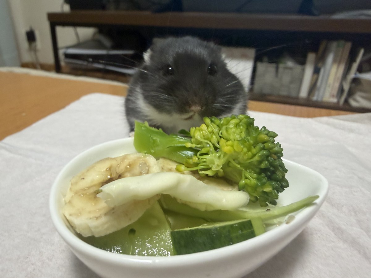 oh1rune_zzz's tweet image. たべず