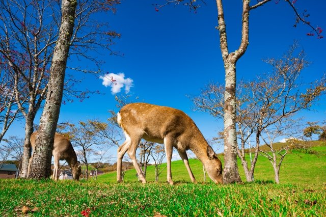 【公式】並木将央(株)ロードフロンティア│どんなときも自分のファンでいるための学問「活学」 tweet media