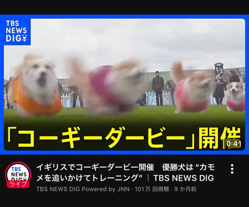 イギリスでコーギーダービー開催　優勝犬は“カモメを追いかけてトレーニング”｜TBS NEWS DIG youtu.be/D3CD7eEPSnk?si… <a href="/YouTube/">YouTube</a>より

いいサムネだな