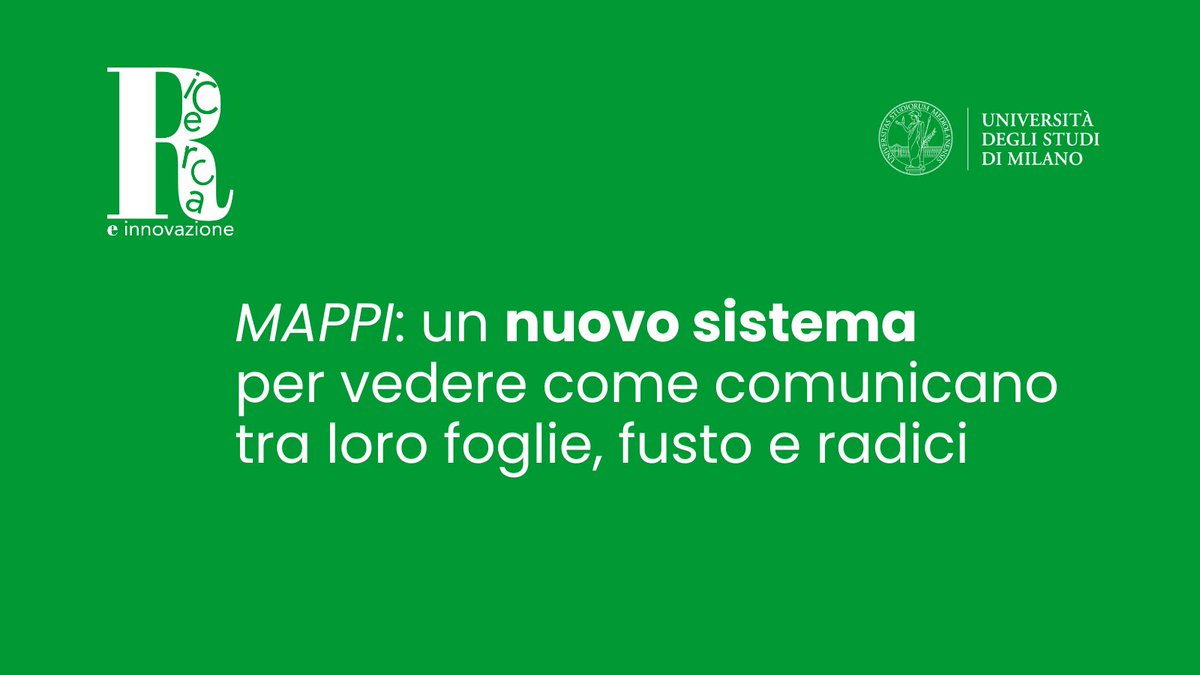 Università degli Studi di Milano tweet media