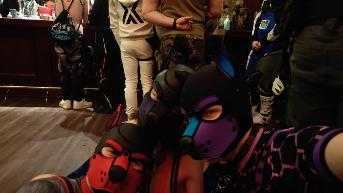 Pup Meta tweet media