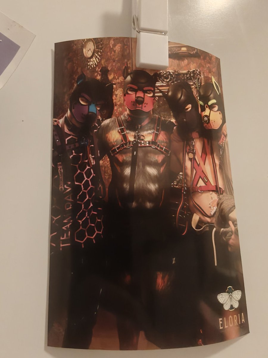 Pup Meta tweet media