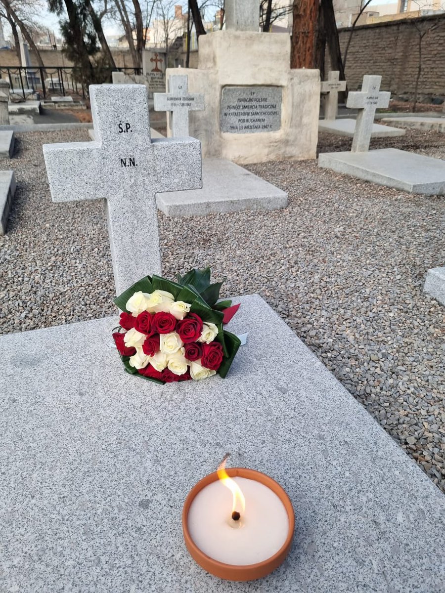 PLinIRAN tweet media