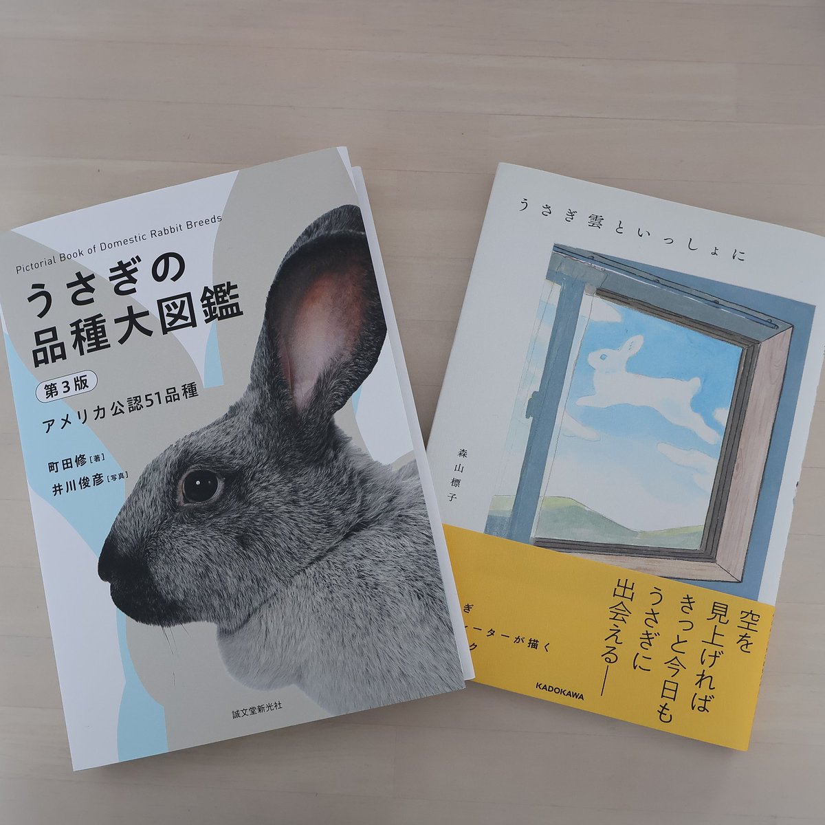 ハスカップ 4キロうさぎ それぞれの場所、いつもの3体でくつろぐエゾユキウサギさん達と最近