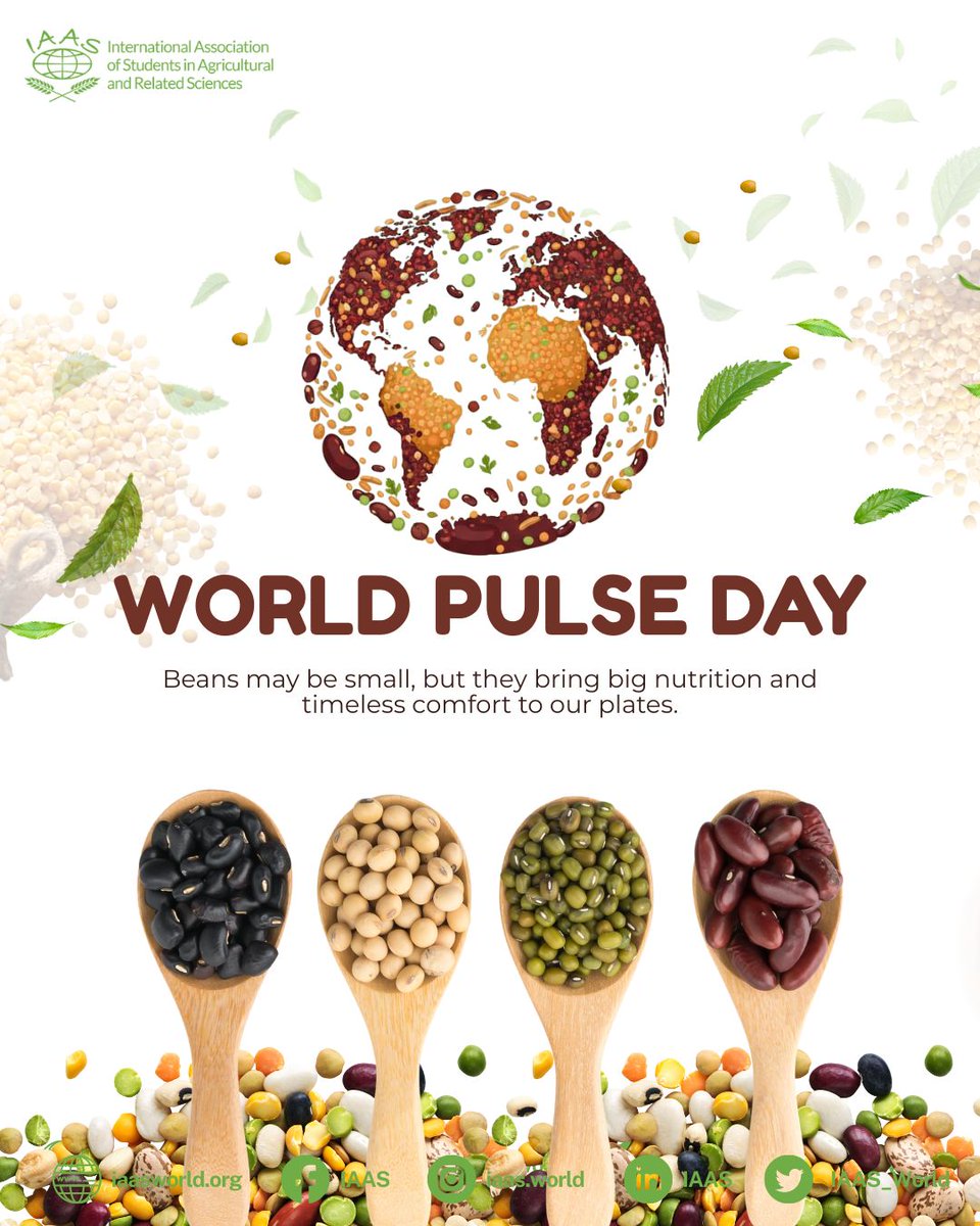 IAAS World tweet media