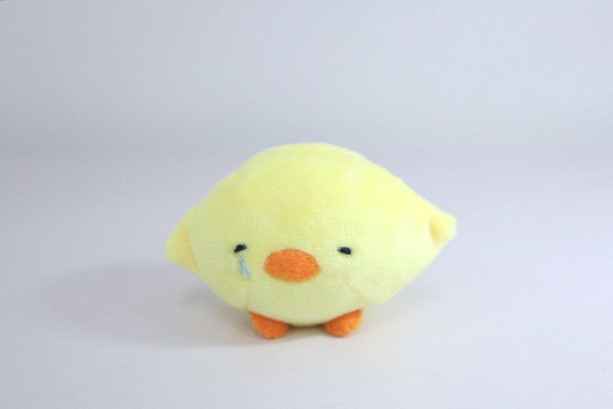 新種のぴよちゃんがうまれました‼️

お怪我ぴよちゃん🩹
めそめそぴよちゃん🥲

おでこぶつけたけどなんか嬉しそうなお怪我ぴよちゃんと、かなり落ち込んでいるめそめそぴよちゃん…

2/14(土)の #名古屋創作総会　<a href="/_PAYAA_/">名古屋創作総会</a> につれていきます♡
#創作総会