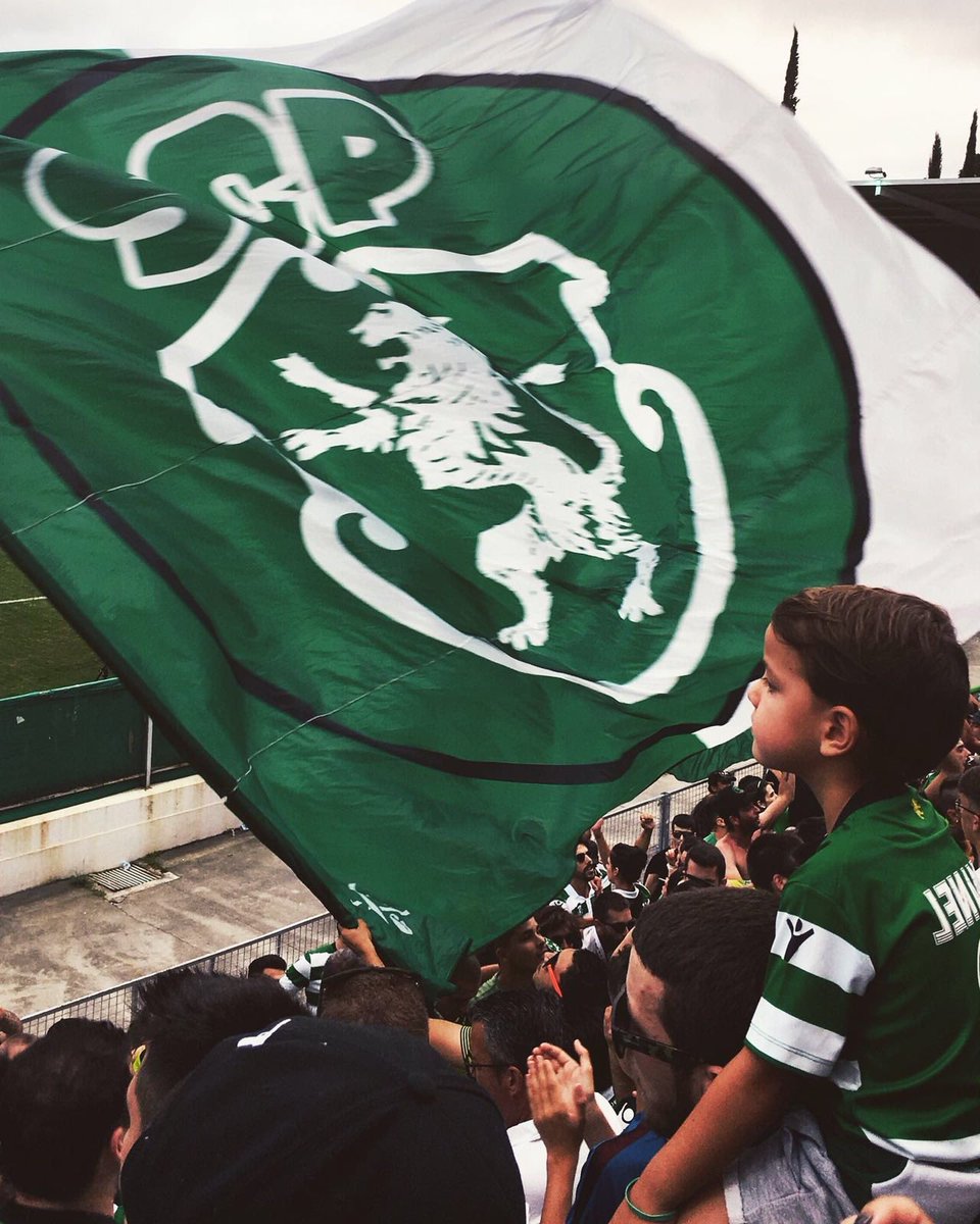 Sporting CP Pictures That Go Hard tweet media