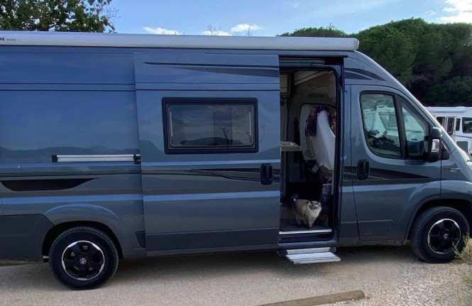 MissingTarn81's tweet image. 10.02.26 #ESPAGNE Suite à un vol de camping-car (ER937VK) à Sitgès : Le chat, gris/beige/tigré, poils mi-longs, "Naruto", pucé, était dedans. Les propriétaires sont français. #chat #recherché #perdu