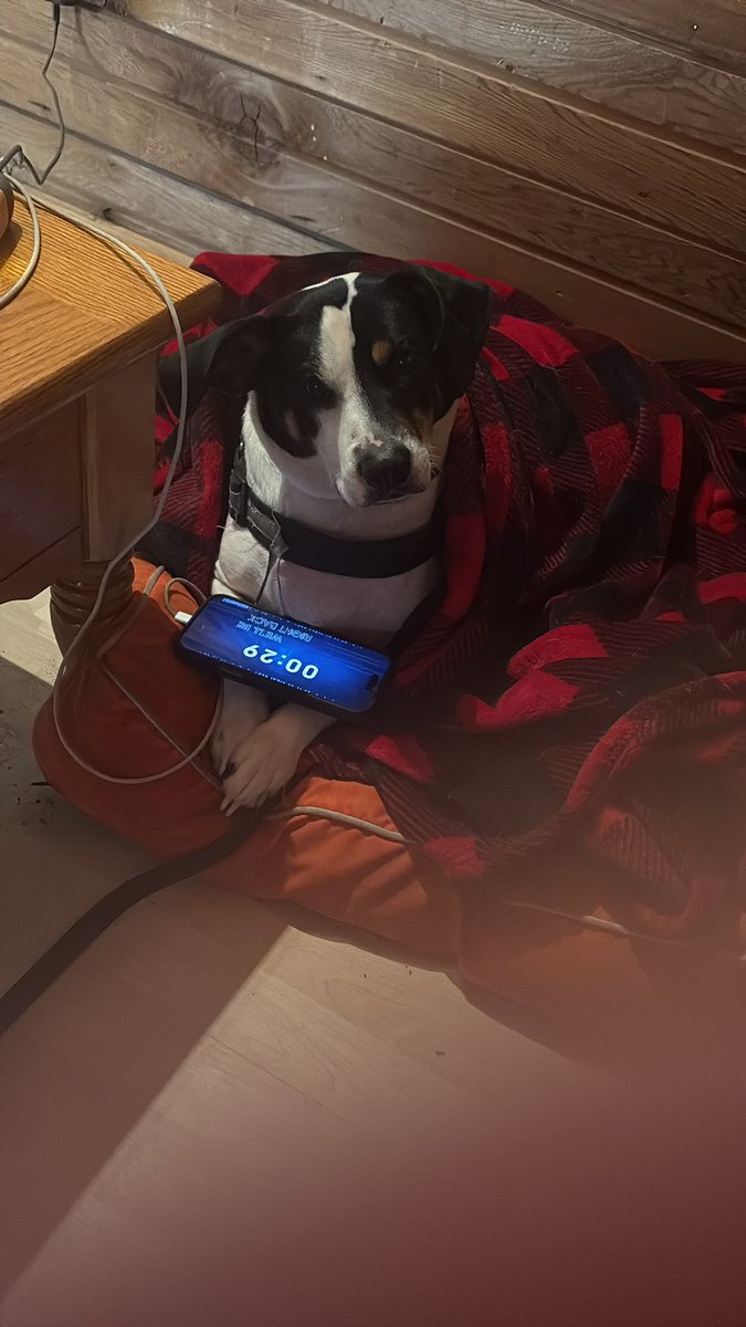 sir dakota tweet media