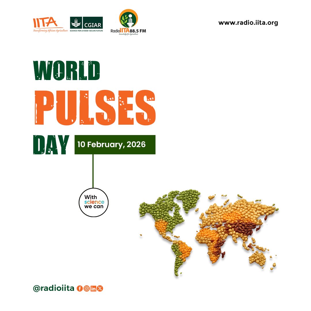 RadioIITA tweet media