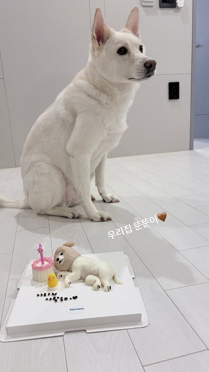 CCwithSybil's tweet photo. Feb 10, 2026 #binstagram 

Omoo... Mata and her cake 🥰
🎂 "Mata-jjang saranghae"

*Mata in her winter fashion as cake 
#ChaeSooBin #채수빈 #蔡秀彬 🐰
#HakuMata_ms https://t.co/0cYtBqqyi2