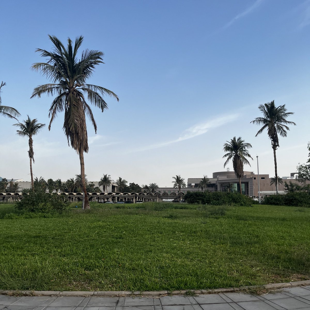 شِيْم tweet media