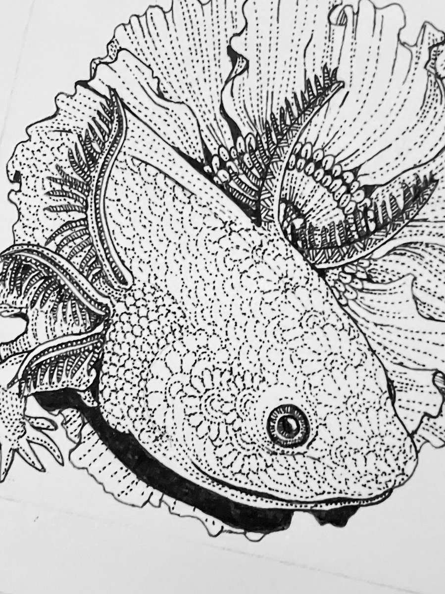 ボールペン画アーティスト✒️Saki (@saki_pen_art) / Posts / X