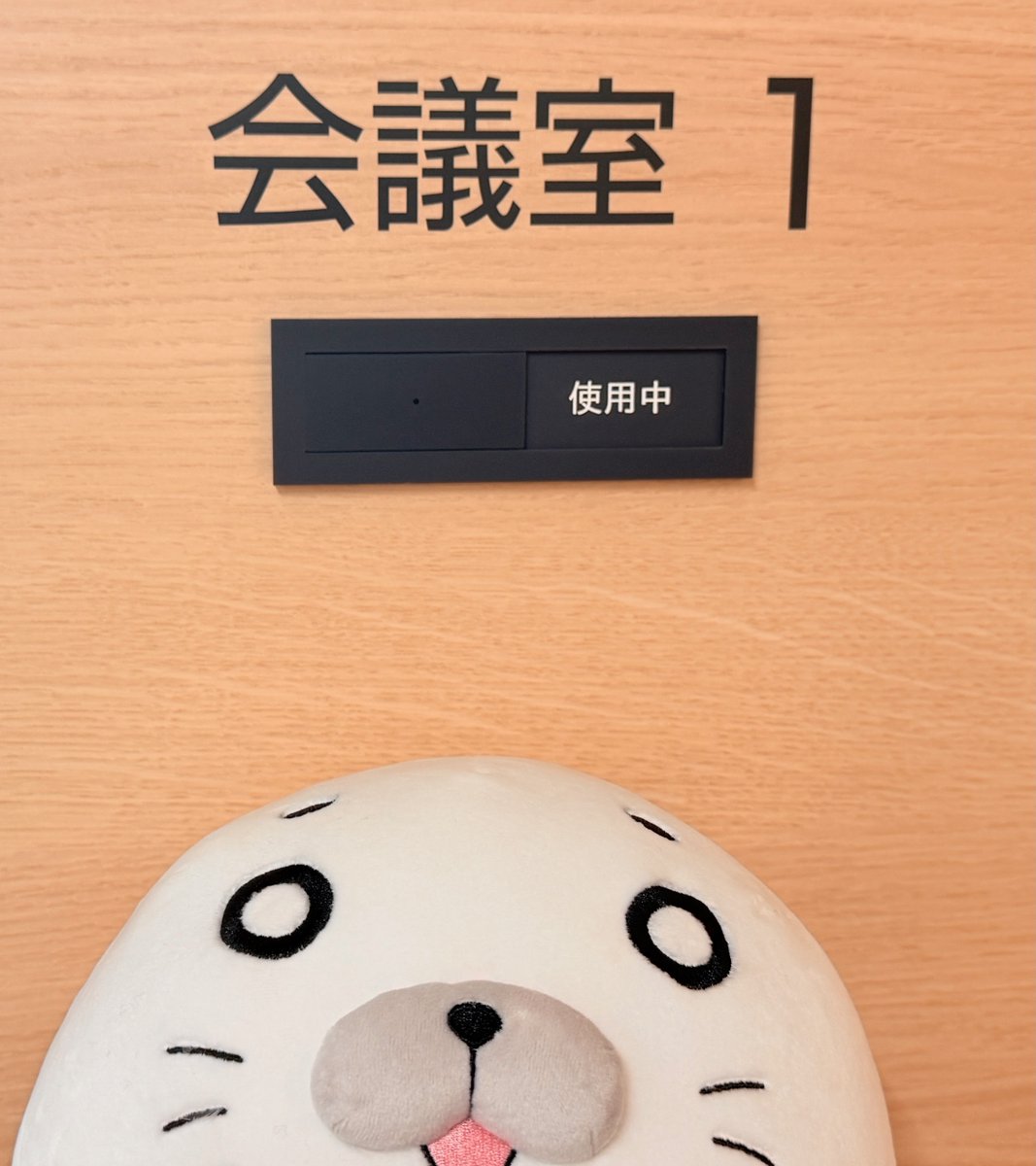 ╭━━━━━━━━╮
　  🦭QQレポート
╰━ｖ━━━━━━╯

キューー .ᐟ.ᐟ

#取材されています #アシベ #ゴマちゃん