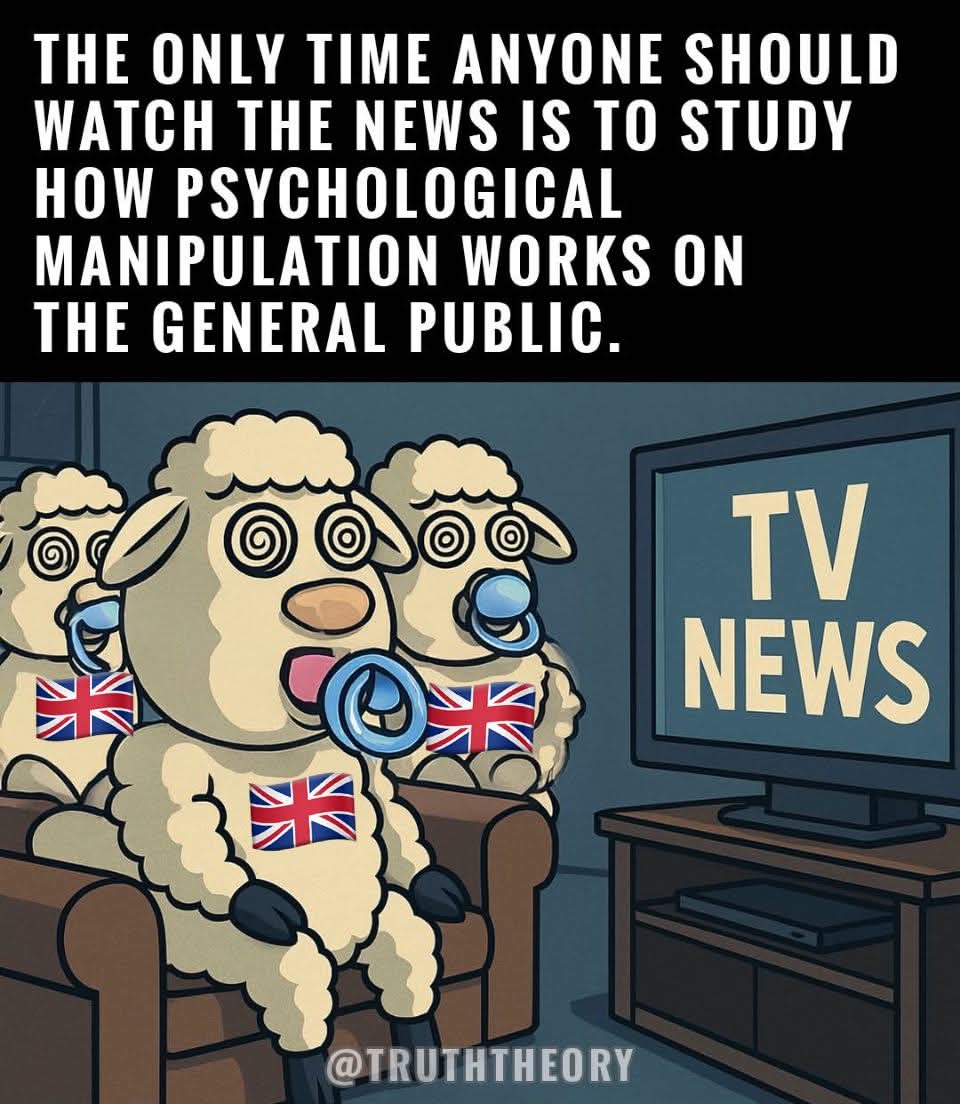 shuggie mcshuggle tweet media