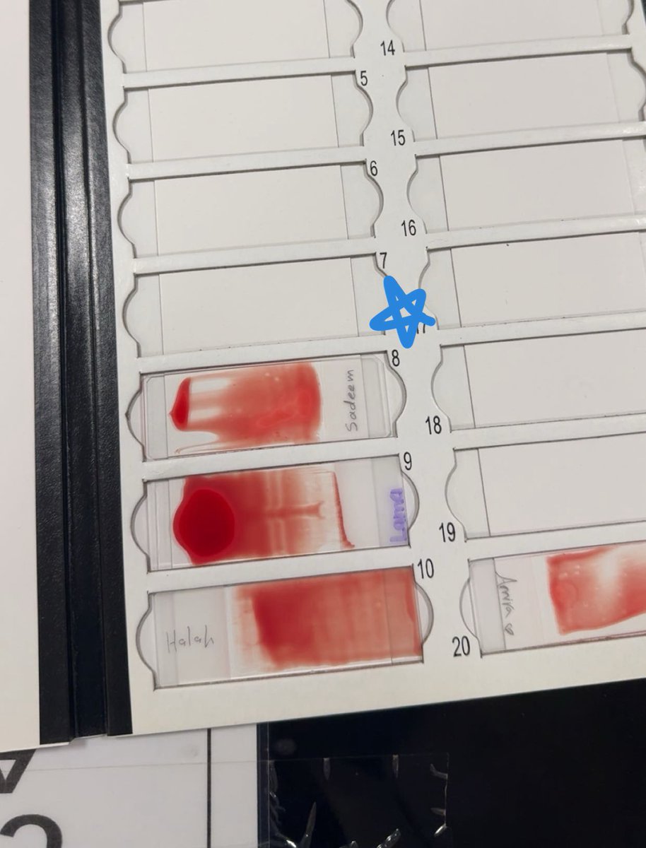 سديم tweet media