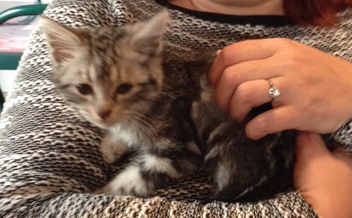 Kenavou des ✨ #FamilyForever (et un peu Ziggy ♂) tweet media