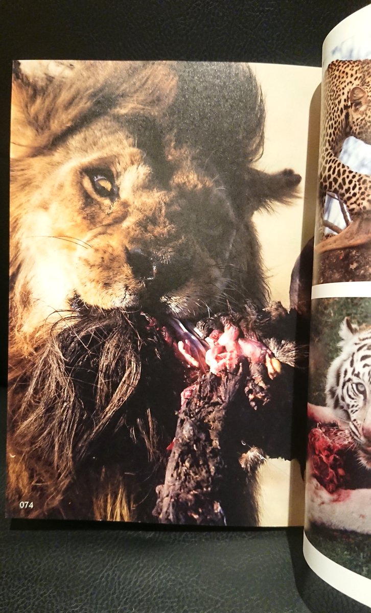 書肆ゲンシシャ/幻視者の集い tweet media