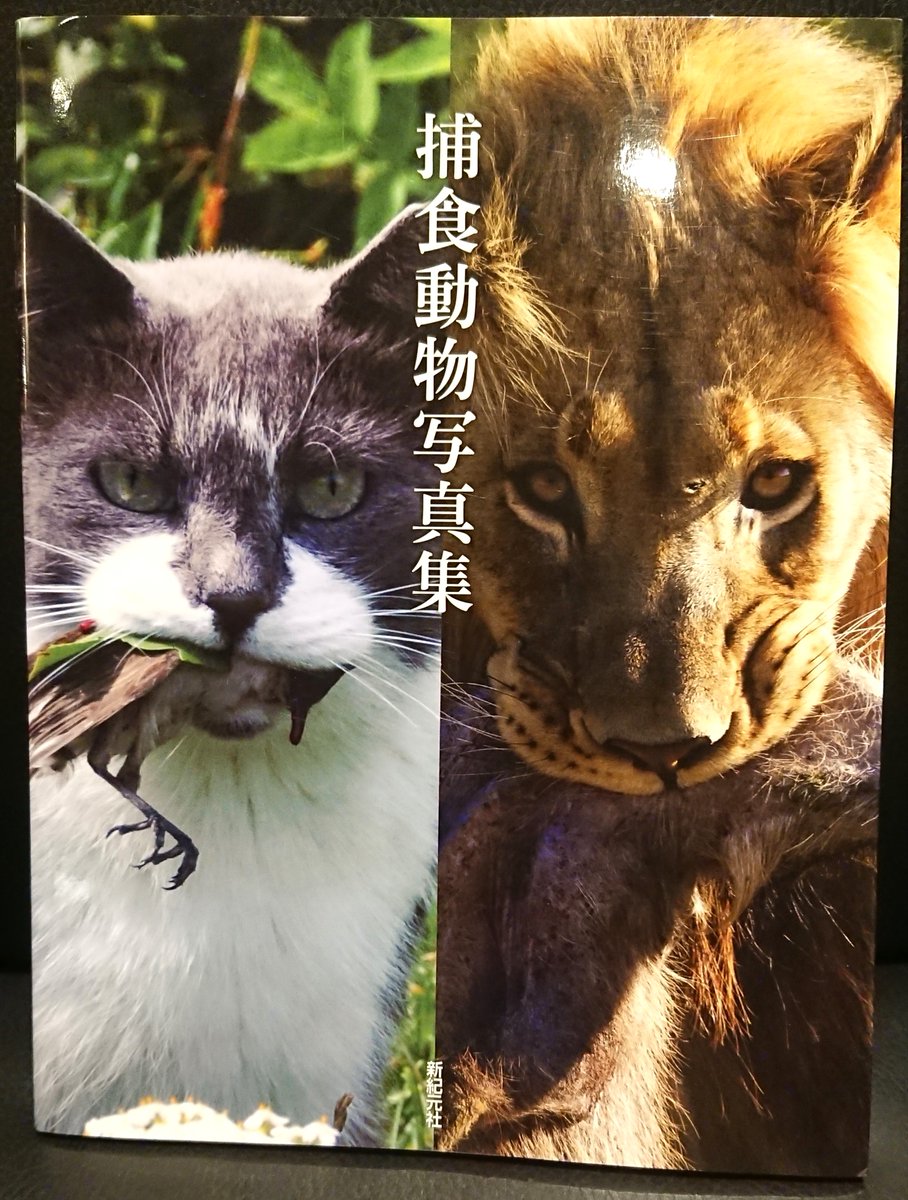 書肆ゲンシシャ/幻視者の集い tweet media