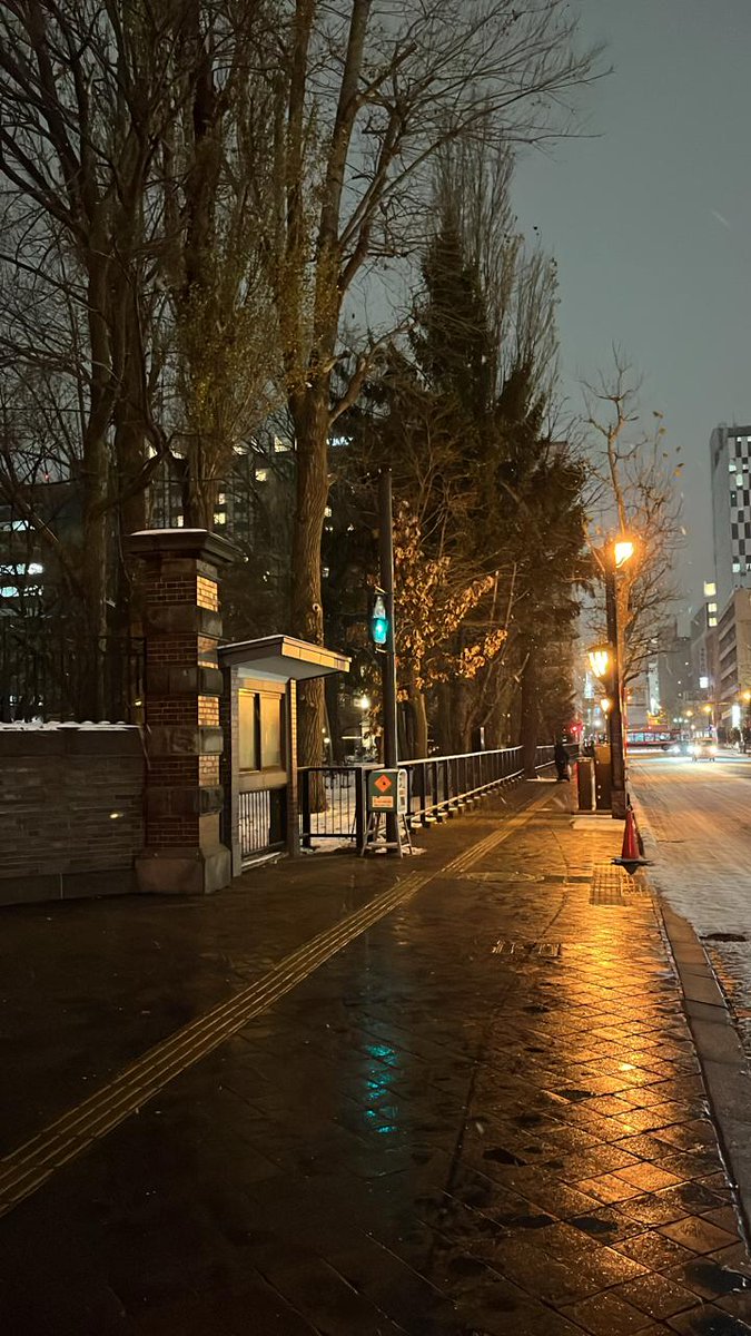 _AmandaBrownies's tweet image. 寒い夜に私を守ってくれる。