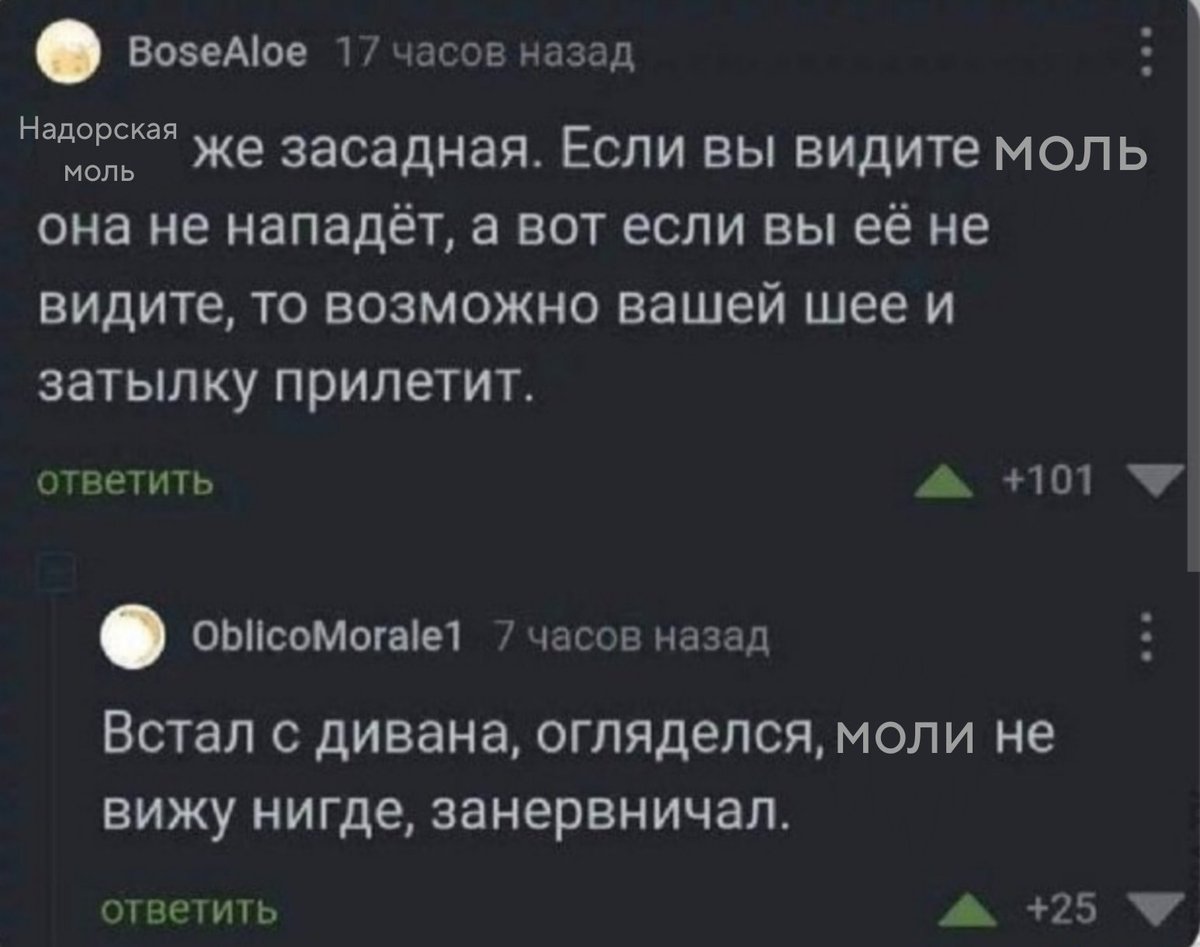 Будни Луизы в Надоре:
