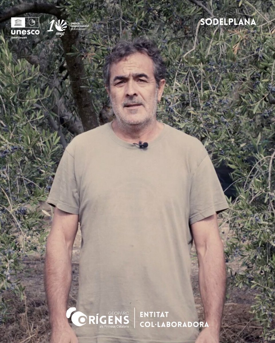 Geoparc Orígens tweet media