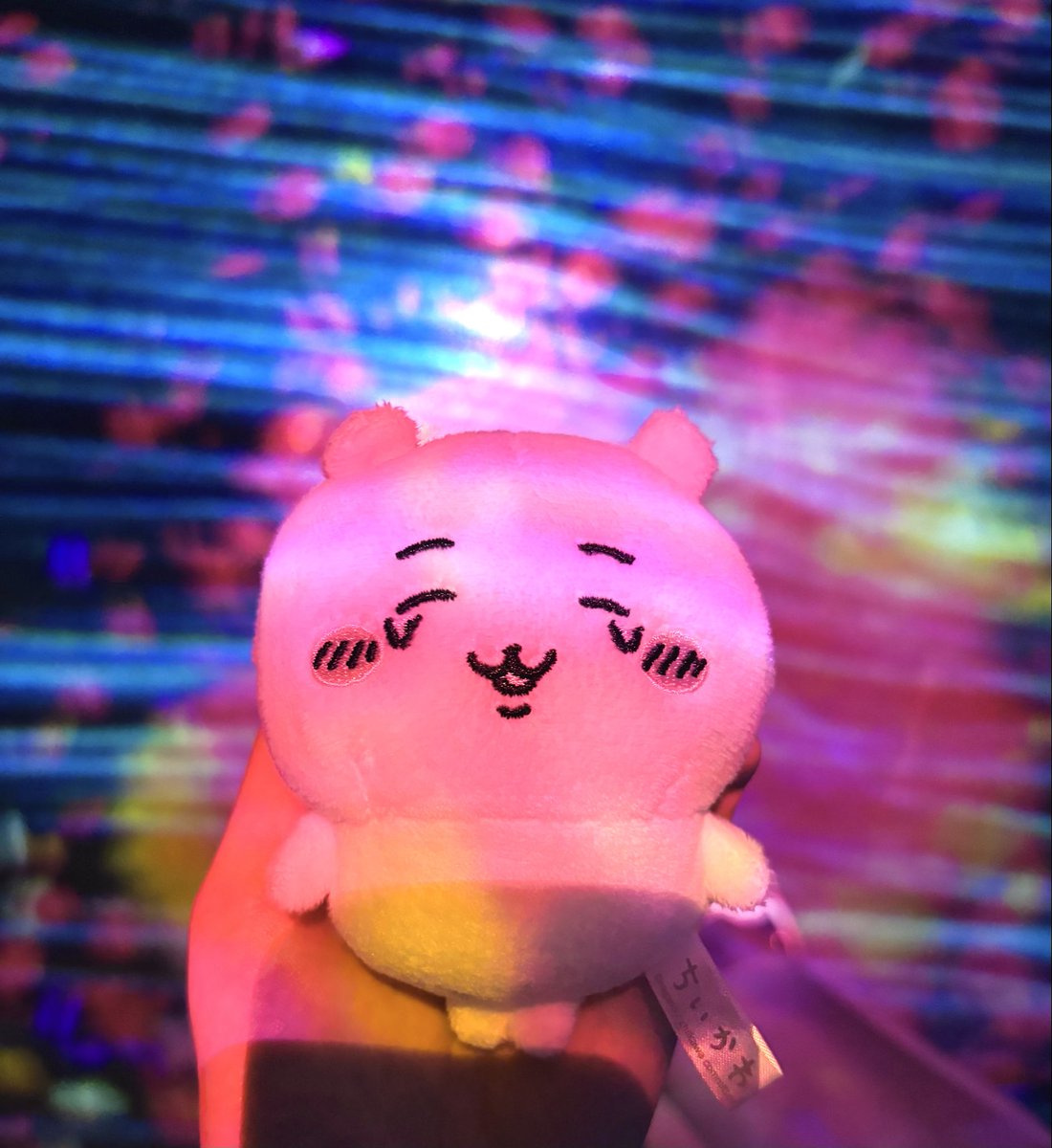 ㍉かま (@chiikama0501) / Posts / X