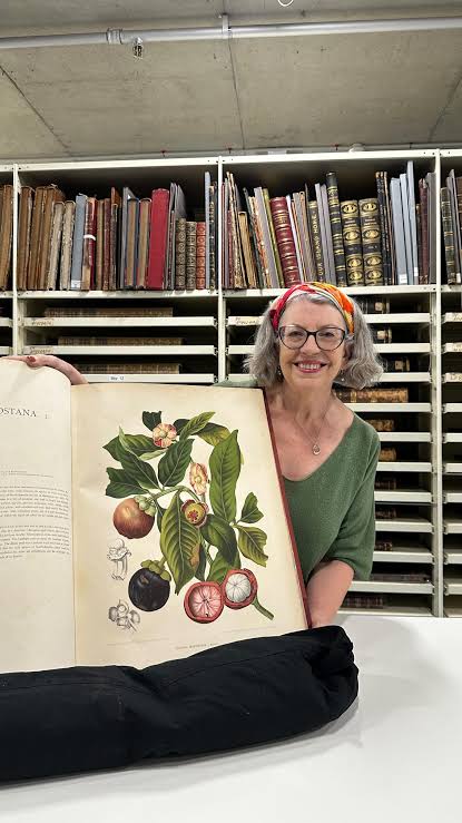 Semua lukisan ada di buku Fleurs Fruit et Feuillages Choisis de l'Ile de Java (Selected Flowers, Fruits, and Foliages of The Island of Java).

Ukuran asli buku di gambar sebelah kanan (dari instagram State Library of New South Wales).