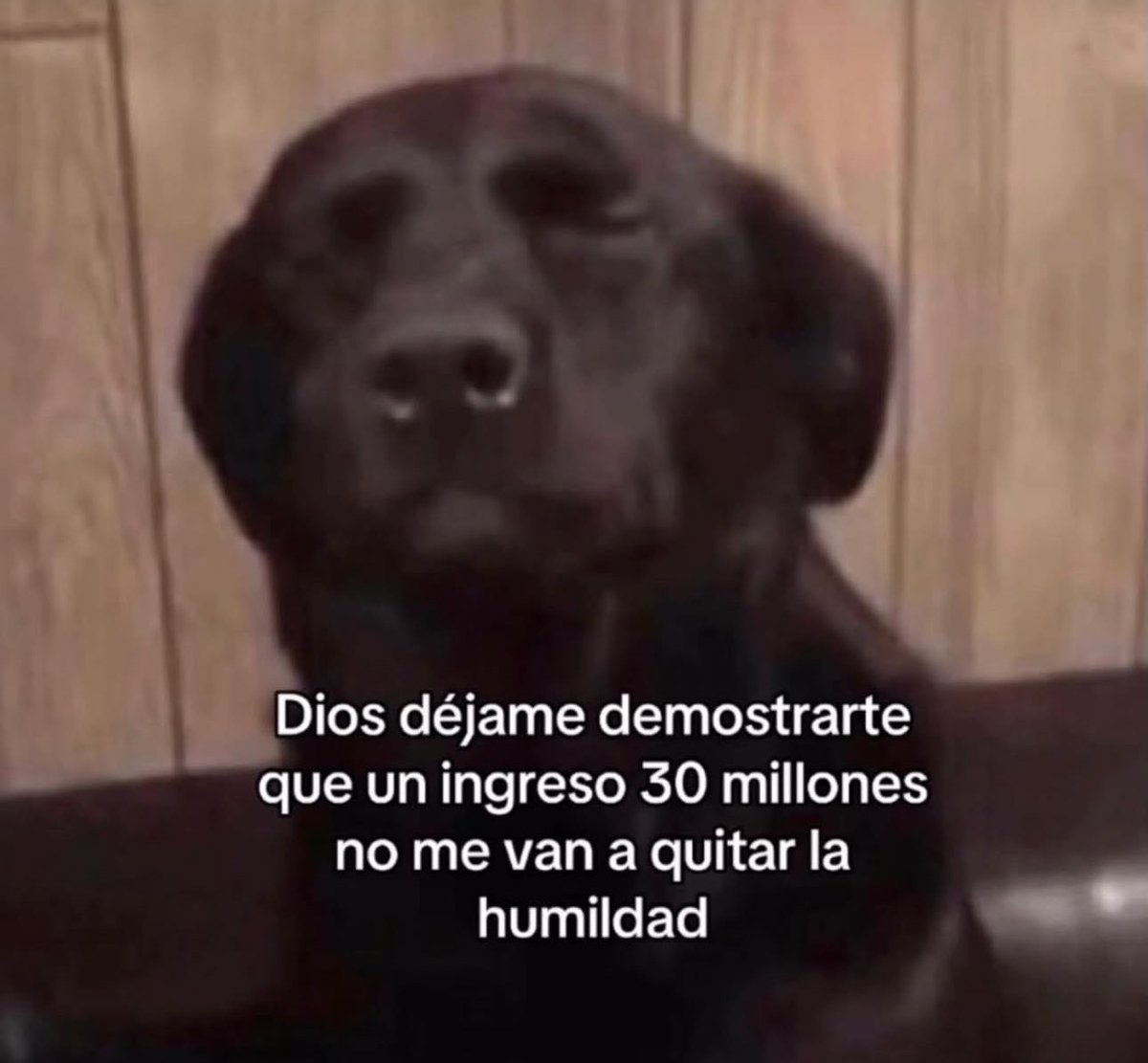 piña sin pizza (@skereunpesado) on Twitter photo 