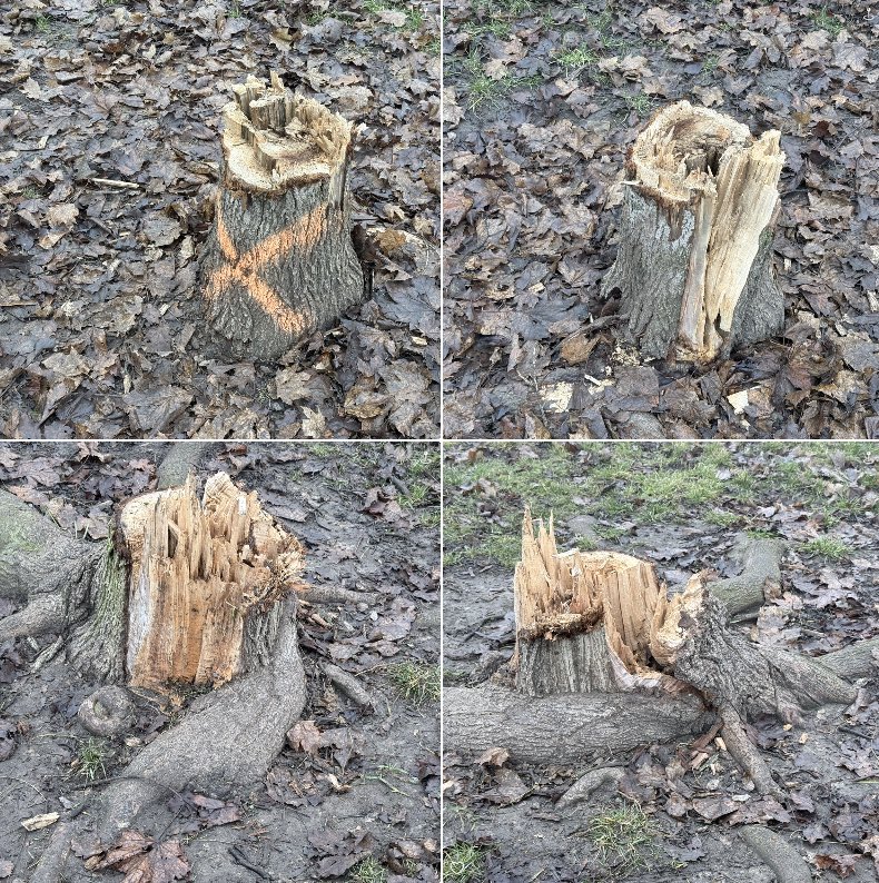 petrbakos's tweet photo. Jsem se chtel zeptat kde @3Praha vzala na Pecich tak sikovny bobry a krtky … ze bych si je taky najal az budu potrebovat neco poradne odflaknout.. https://t.co/XnUqhkV57m