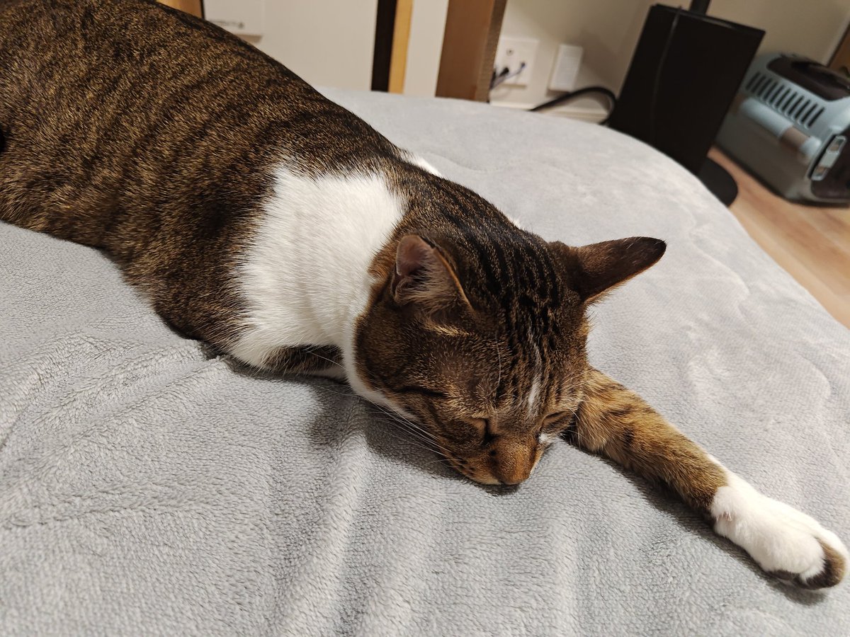 かわいい（かわいい）