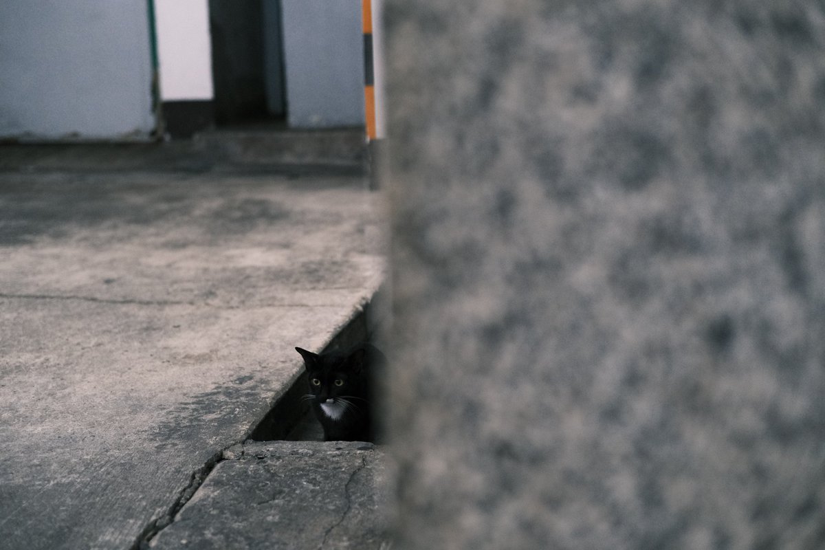 cosmo0406's tweet photo. bangkok🇹🇭 / x-pro3
#xpro3
#fujifilm_xseries 
#バンコク https://t.co/UdArbqb2c1