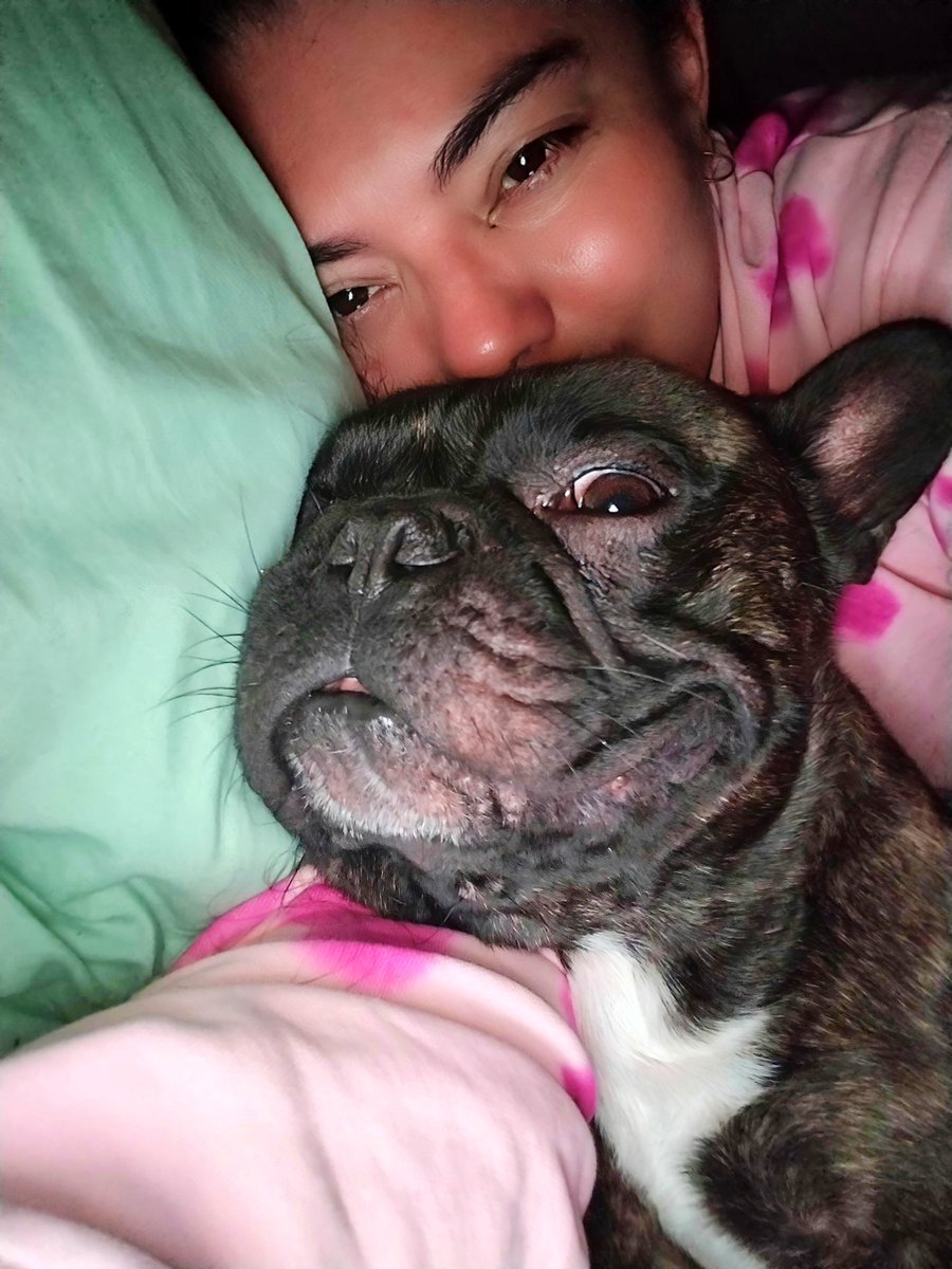 Buenos días estrellitas🌟🐕🦇